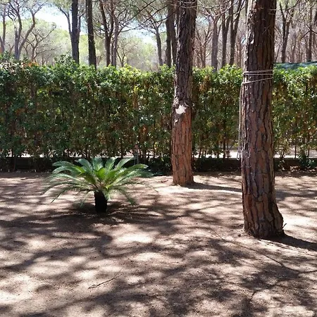 Casa Vacanza Relax